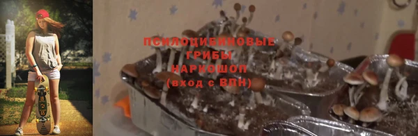 ГАЛЛЮЦИНОГЕННЫЕ ГРИБЫ Елизово