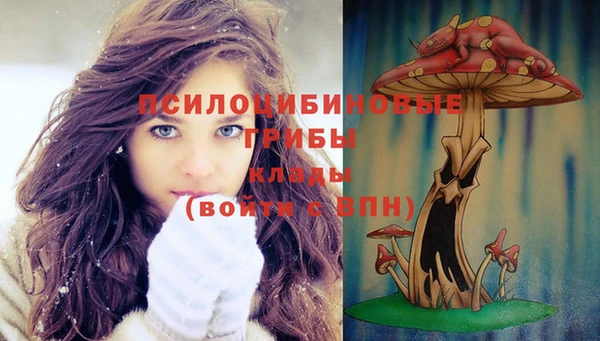 соль курить ск Ельня