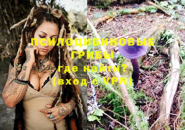 ГАЛЛЮЦИНОГЕННЫЕ ГРИБЫ Елизово
