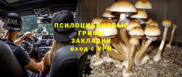 ГАЛЛЮЦИНОГЕННЫЕ ГРИБЫ Елизово