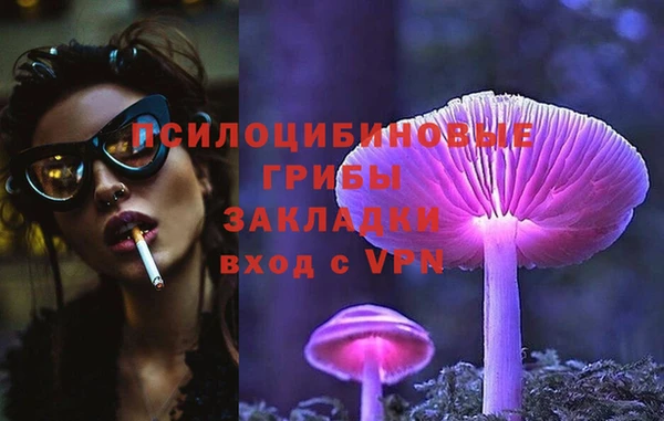 ГАЛЛЮЦИНОГЕННЫЕ ГРИБЫ Елизово