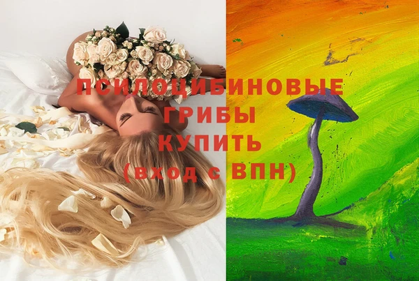 спайс Елабуга